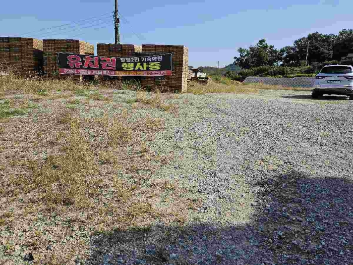 제시 목록 5 전경