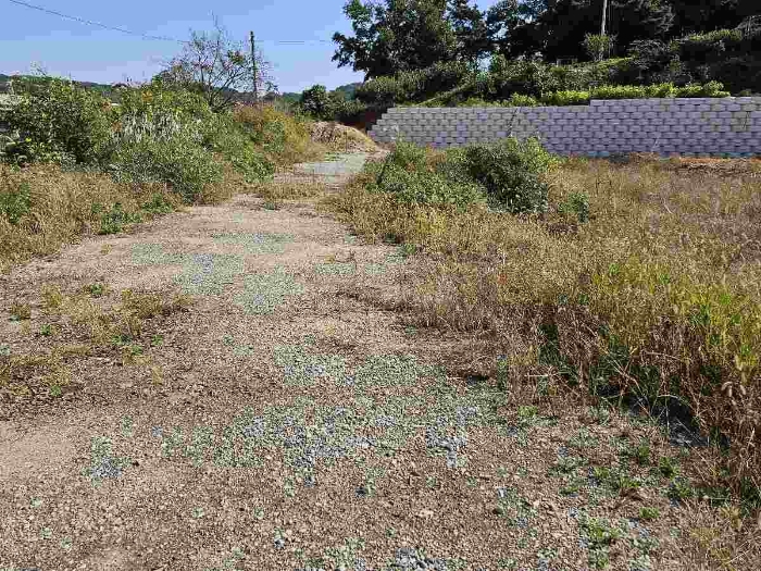 제시 목록 6 전경