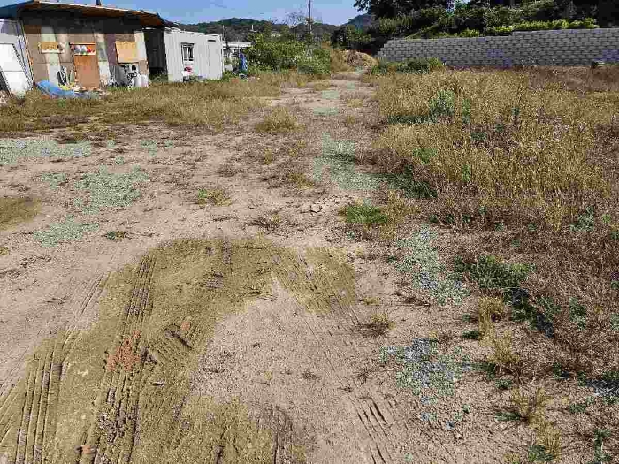 제시 목록 7 전경