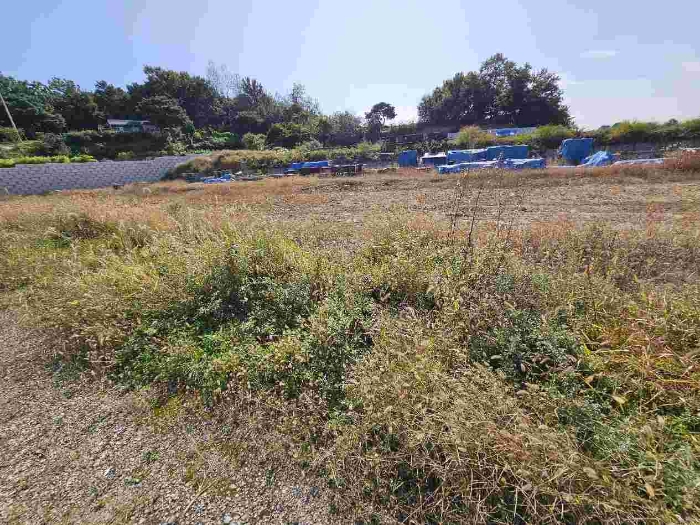 제시 목록 3 전경