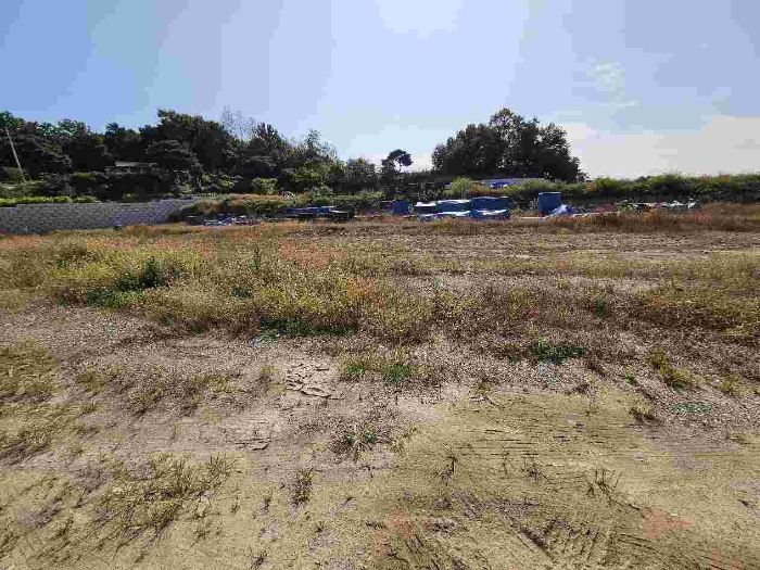 제시 목록 3 전경