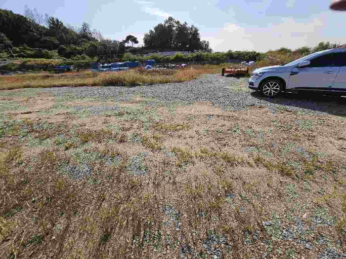 제시 목록 4 전경