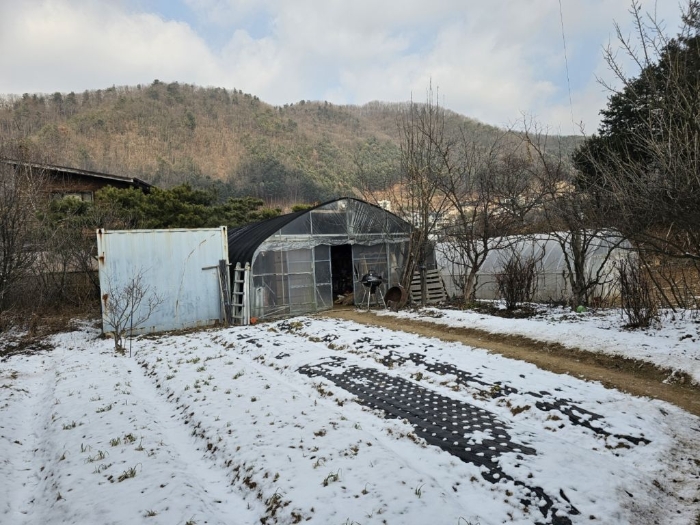 본건 기호(3) 전경(지상 소재 비닐하우스 및 컨테이너)/제시외㉠,㉡
