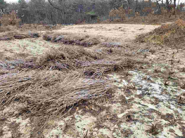 제시 목록 1 부동산