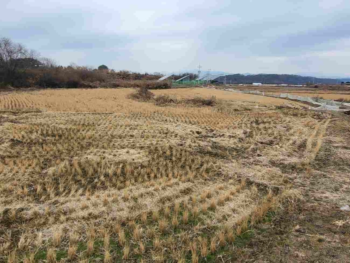 제시 목록 2 부동산