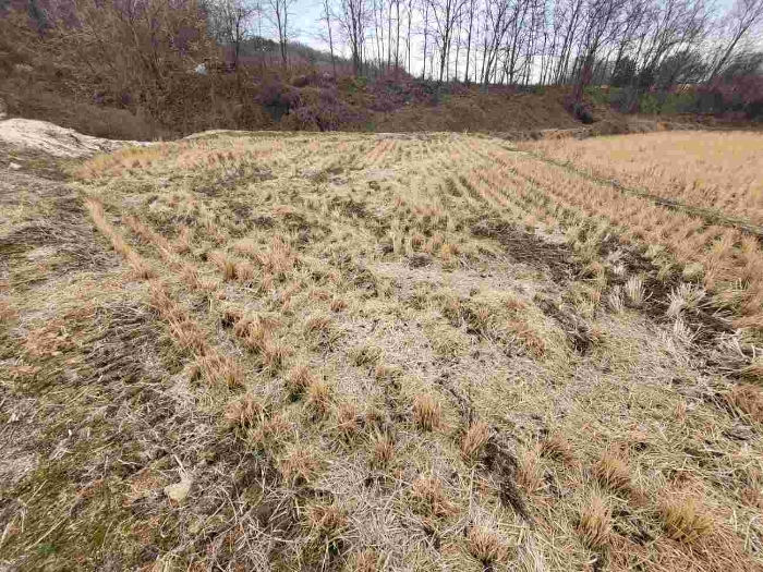 제시 목록 2 부동산