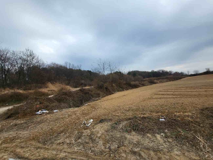 제시 목록 3 부동산