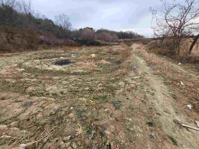 제시 목록 3 부동산