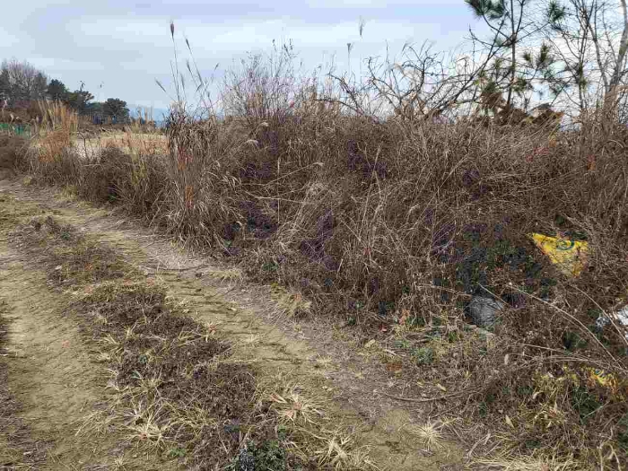 제시 목록 4 부동산