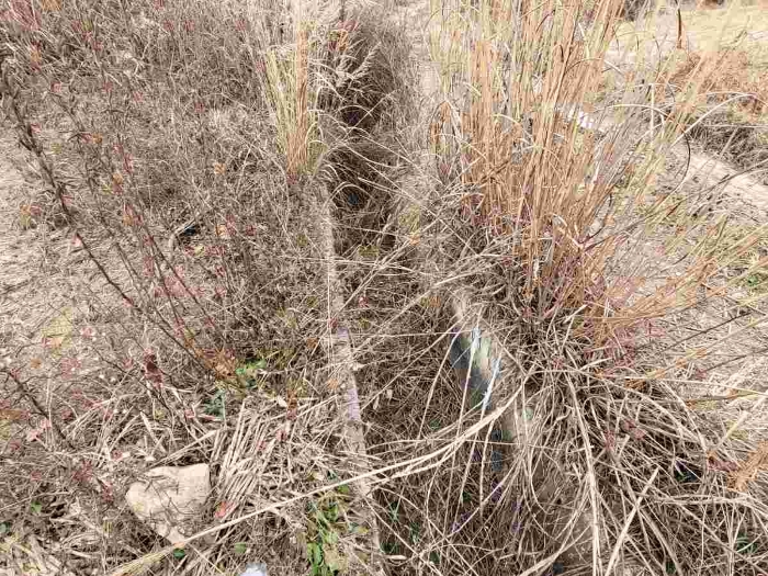 제시 목록 4 부동산