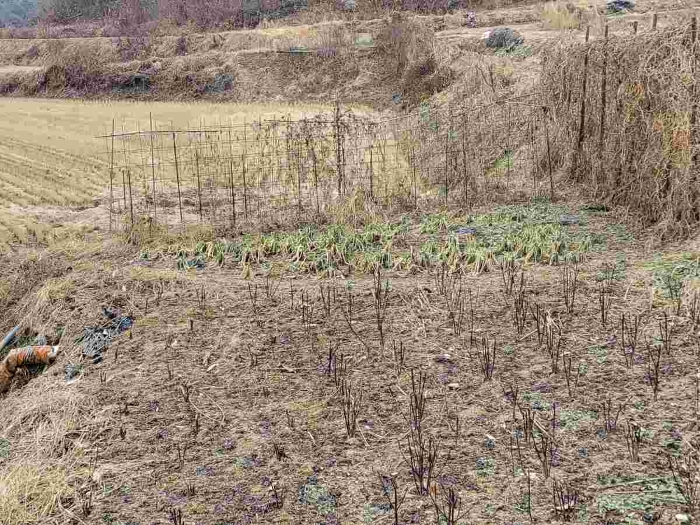 제시 목록 5 부동산