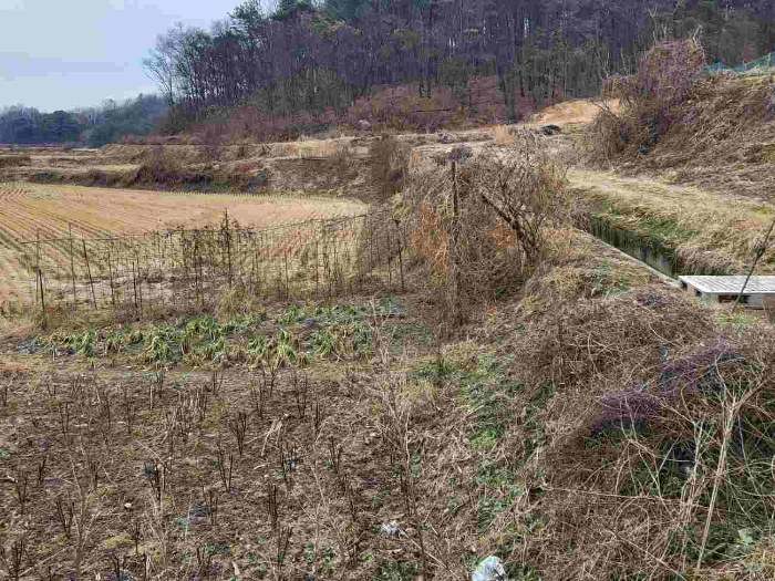 제시 목록 5 부동산
