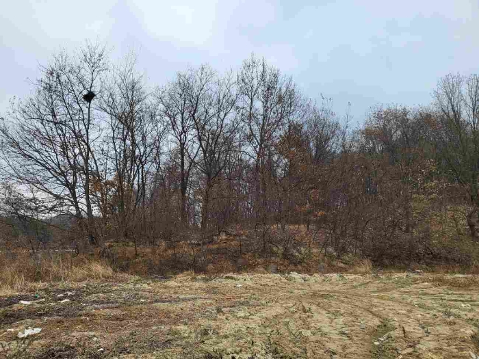 제시 목록 6 부동산