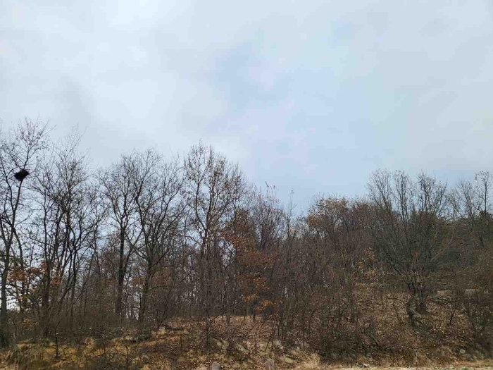 제시 목록 6 부동산