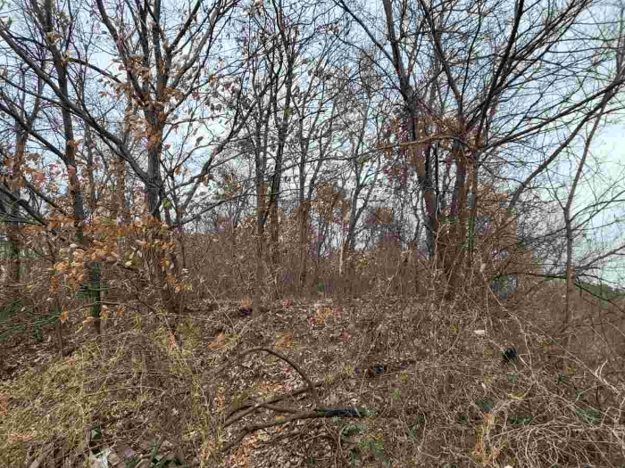 제시 목록 6 부동산