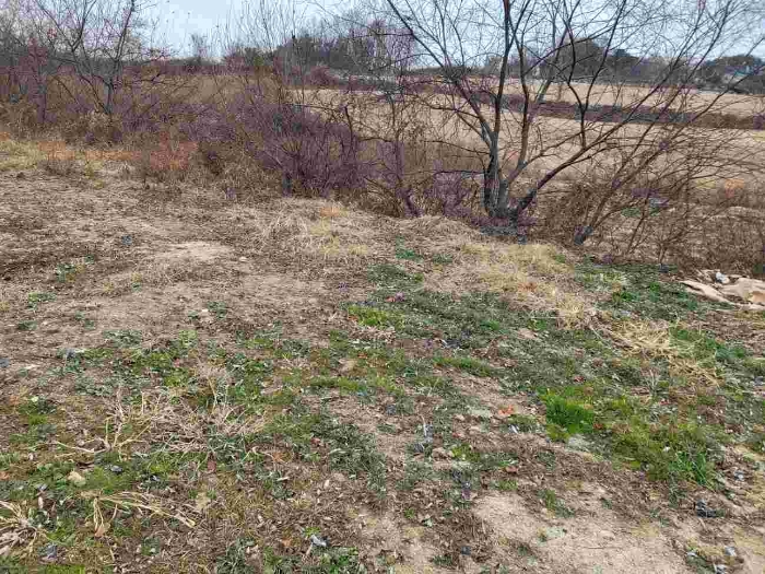 제시 목록 7 부동산