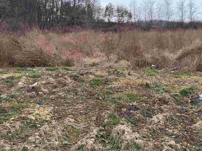 제시 목록 7 부동산