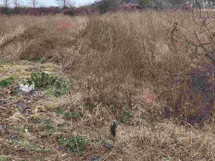 제시 목록 7 부동산