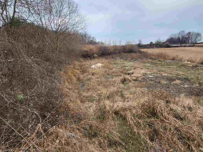 제시 목록 7 부동산