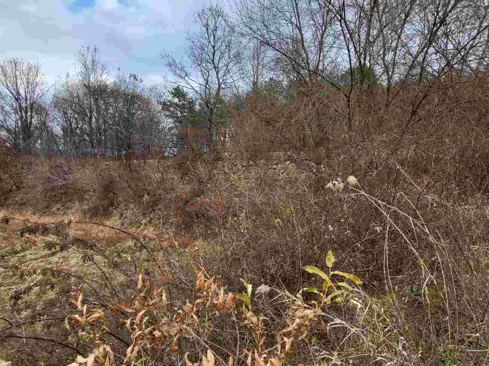 제시 목록 7 부동산