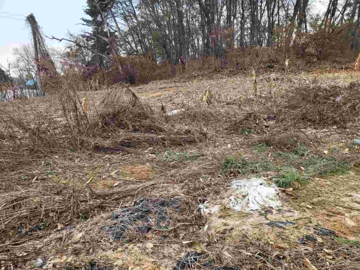 제시 목록 1 부동산