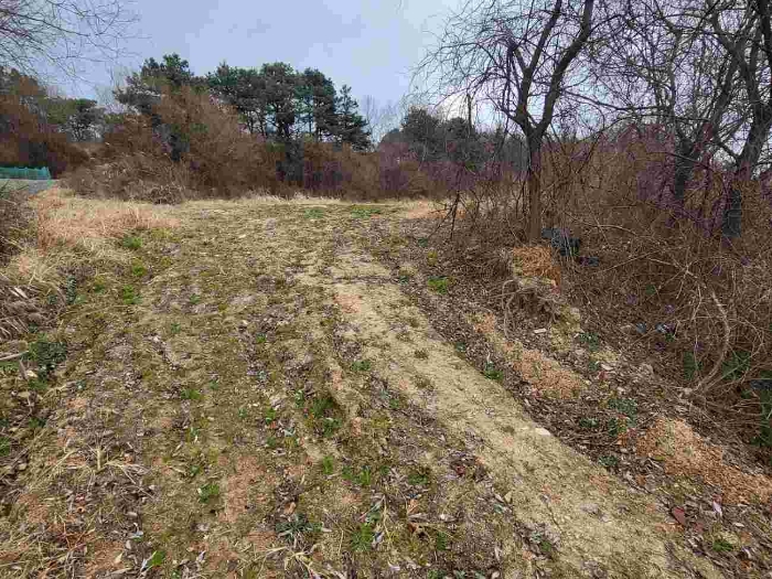 제시 목록 7 부동산