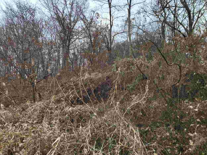 제시 목록 8 부동산