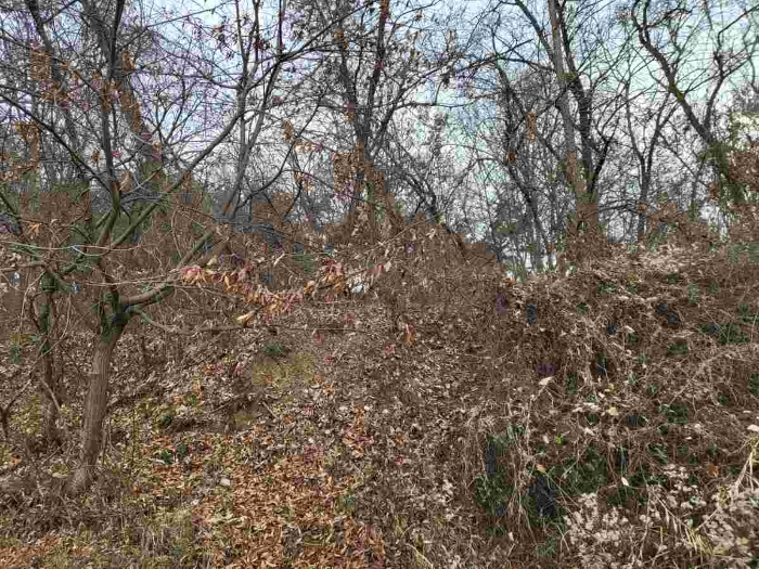 제시 목록 8 부동산