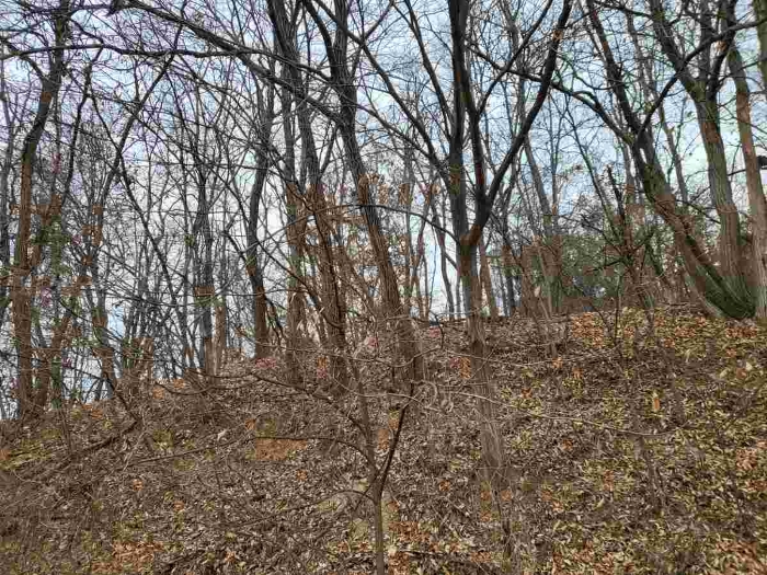 제시 목록 9 부동산