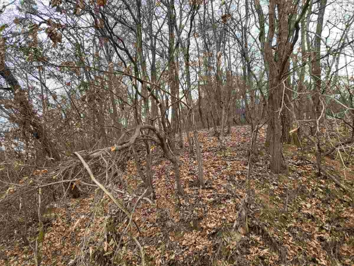 제시 목록 9 부동산