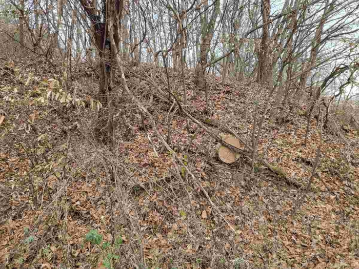 제시 목록 9 부동산