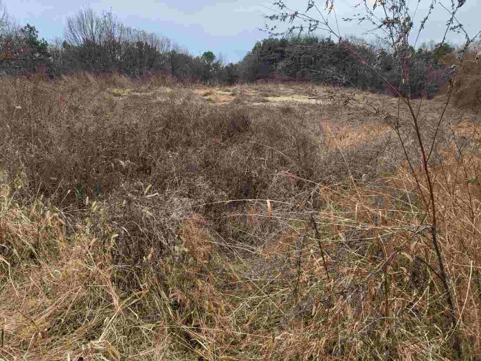 제시 목록 10 부동산