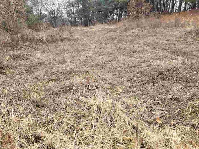 제시 목록 10 부동산