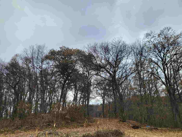 제시 목록 1 부동산