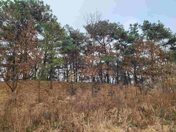 제시 목록 11 부동산