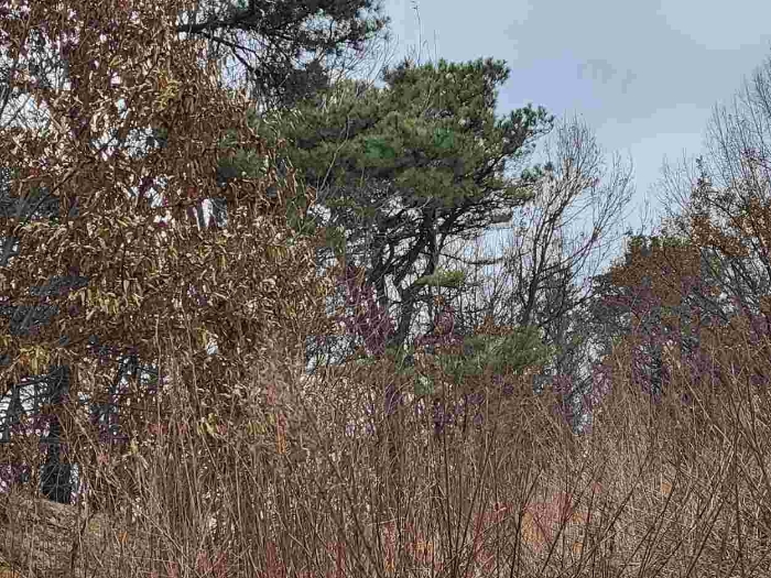 제시 목록 11 부동산