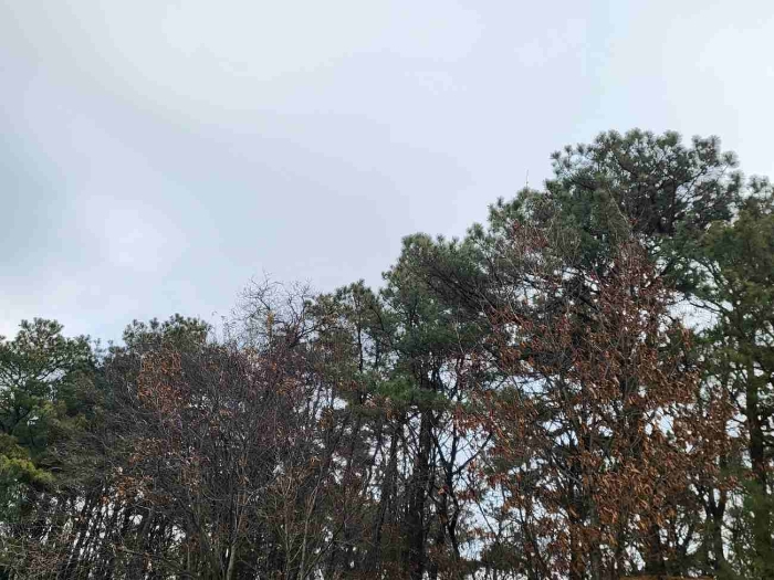 제시 목록 11 부동산