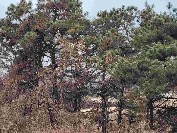 제시 목록 11 부동산