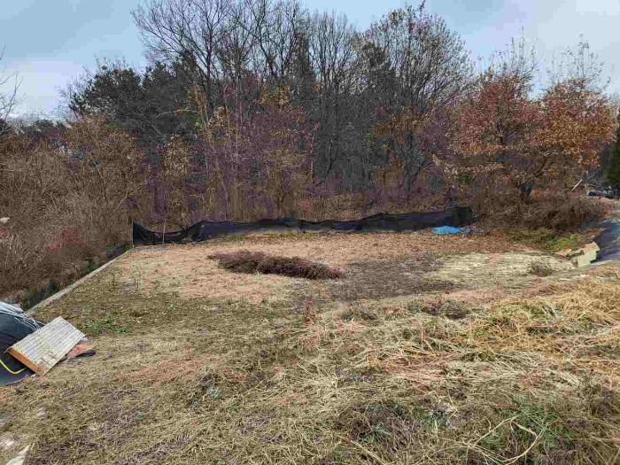 제시 목록 11 부동산