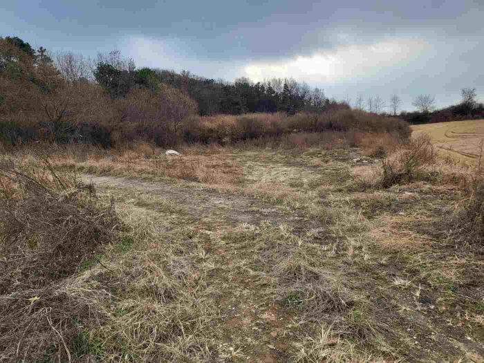 제시 목록 12 부동산