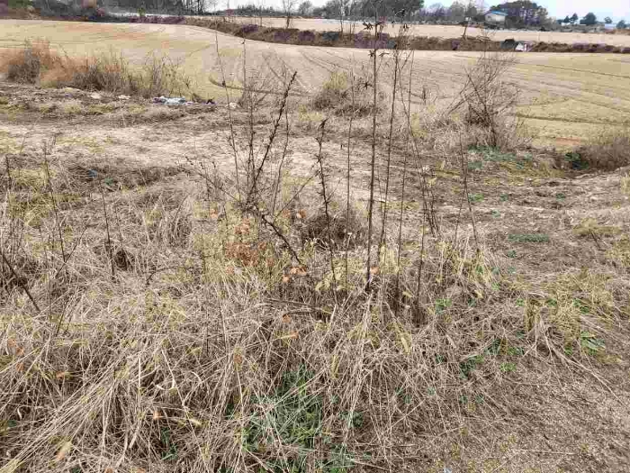 제시 목록 12 부동산