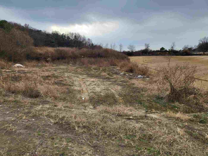 제시 목록 12 부동산