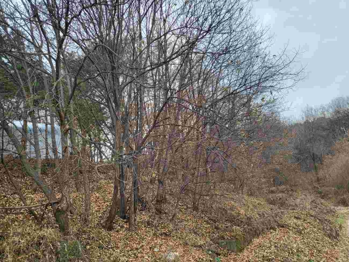 제시 목록 1 부동산