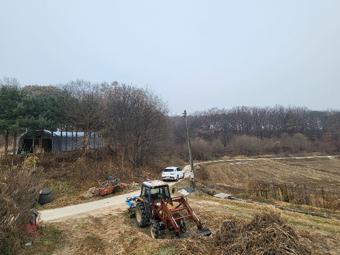 기호(1) 자연림 및 도로 부분