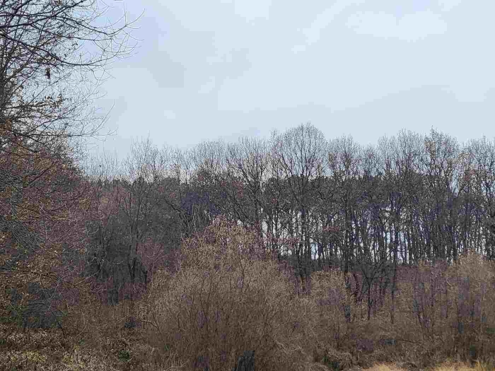 제시 목록 1 부동산