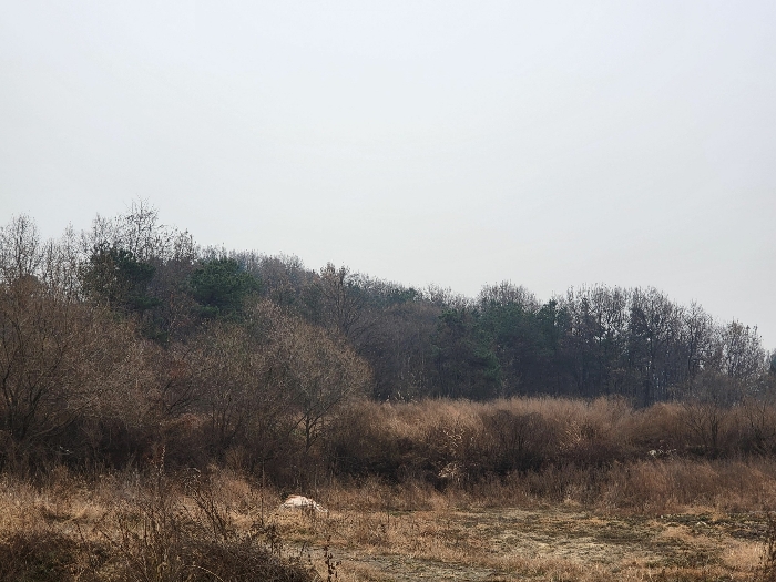 기호(11) 북서측에서 촬영