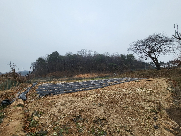 기호(1) 전 부분