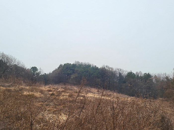 기호(11) 북측에서 촬영