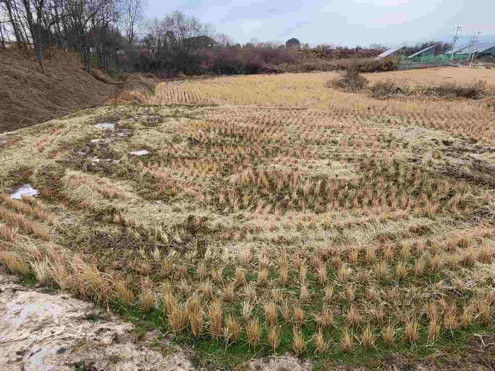 제시 목록 2 부동산