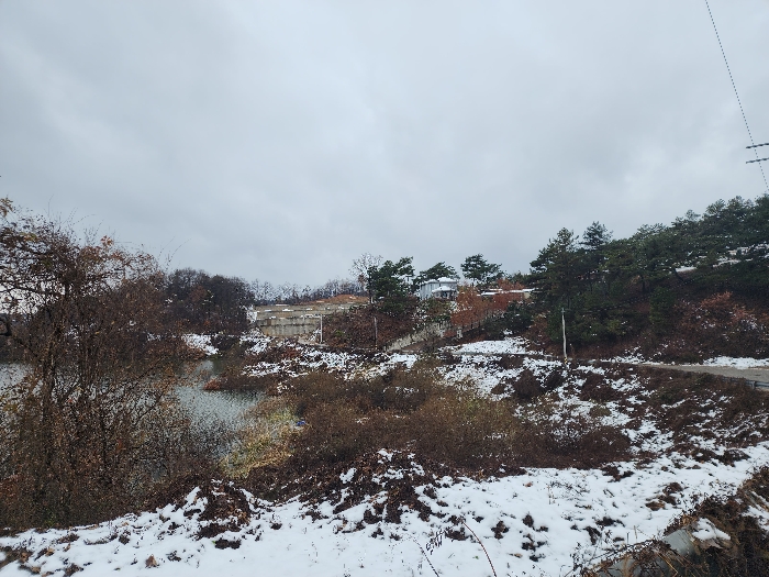 본건 및 전경(북동→ 남서)